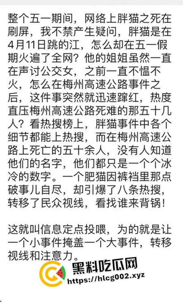 肥猫之死热度远超梅州高速惨案！工程质量问题堪忧 电车起火才是主要原因 全网没人说真话？-5