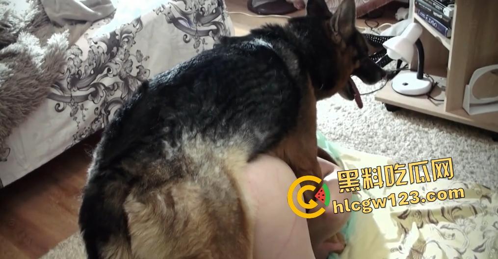 老外青少年被德牧肛交狂操,狗鸡巴一拔出来猛喷精液,只可惜这屁眼塞不下!-4