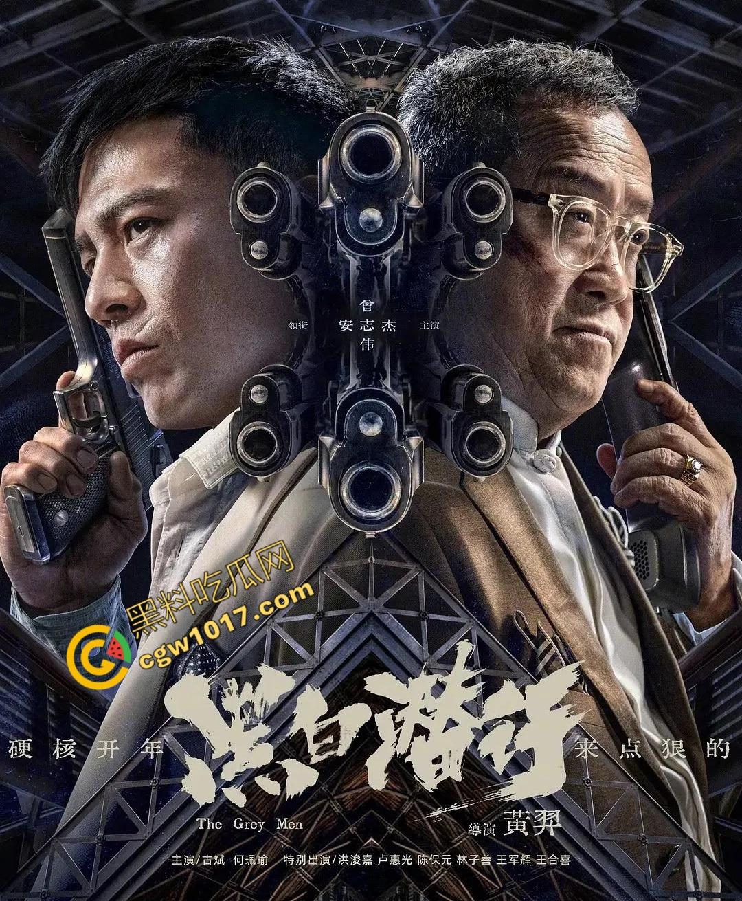 香港经典动作冒险电影《黑白潜行》:黑暗潜伏,精彩打斗,香港黑帮的血腥赌注!-2