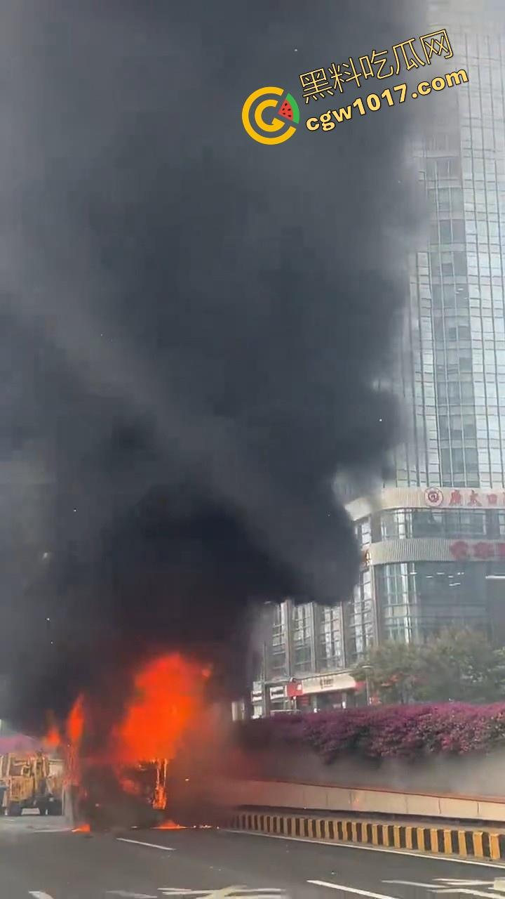 广东佛山季华园隧道口公交车发生自燃，现场浓烟滚滚，火势极其的大，具体自燃原因还待查明！-6