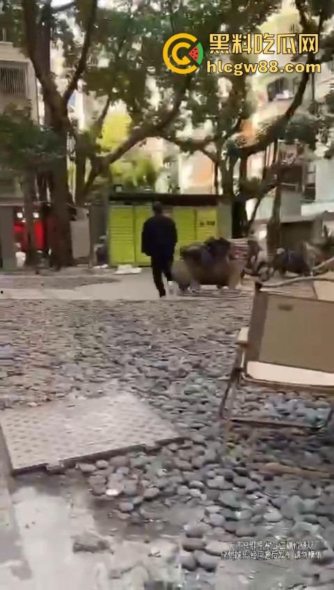 打入成都GAY圈，熊猪文化震碎三观，胖熊陪床8000块，花钱买个肉山压床？到底是什么口味？-5