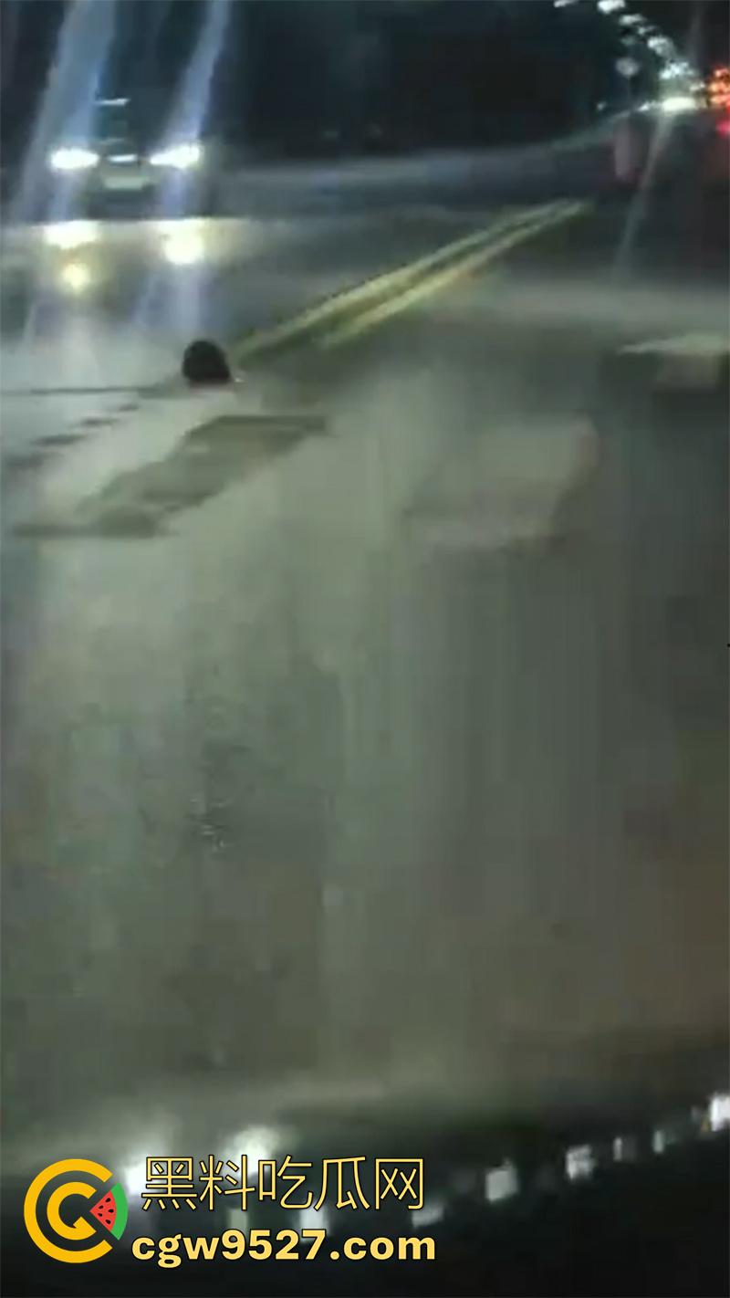 山东恐怖杀人现场，诸城东外环润家园附近，一男子杀人后，将其头颅砍下来，直接放在马路中间！-4