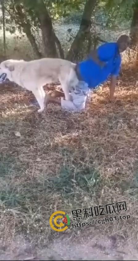 老尼哥被狗草了！这位黑大爷口味属实有点重啊-3