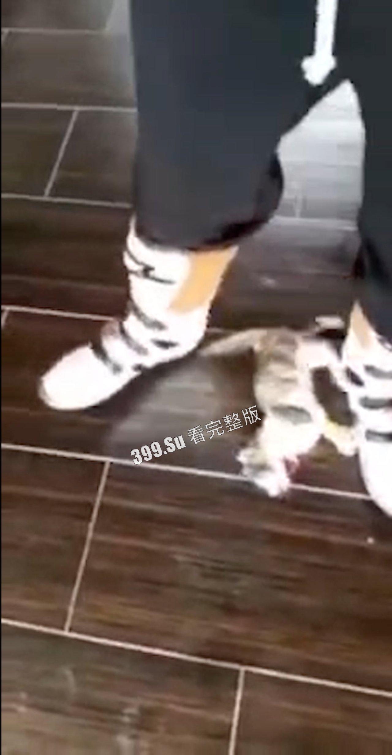 慎点！！！虐猫篇   面对没有反抗力的猫，人性中的恶被无限放大-4