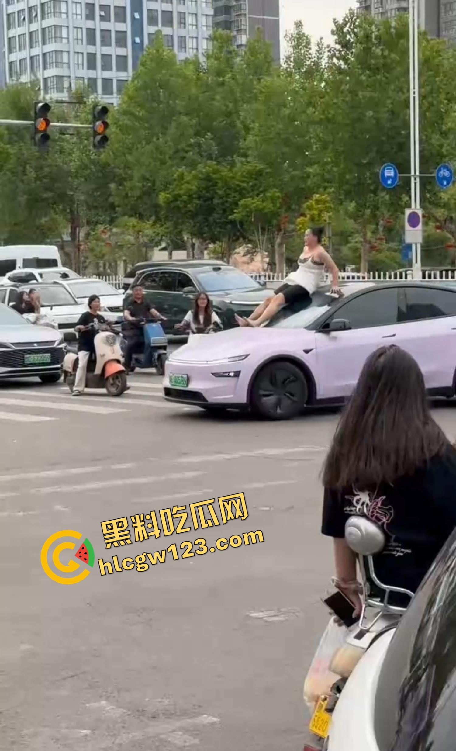 河南女版绿魔开挂上线，集美爬车无差别砸车，特斯拉一脚电门姐你是来耍杂技还是找死的？-5