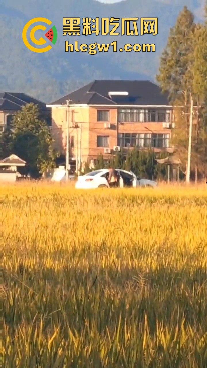 户外野战被拍！小情侣野战以为没人看，结果被摄像大哥拍得清清楚楚，这瓜友是他们play的隐藏角色？-2