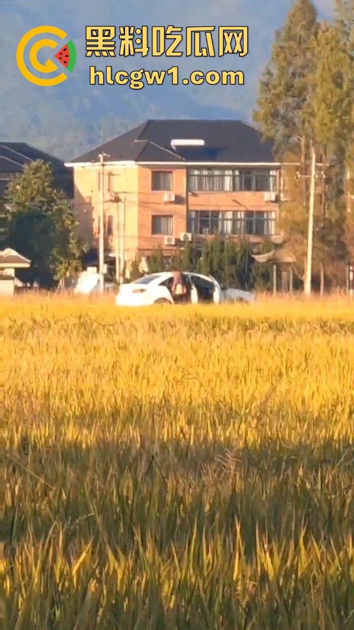 户外野战被拍！小情侣野战以为没人看，结果被摄像大哥拍得清清楚楚，这瓜友是他们play的隐藏角色？-3