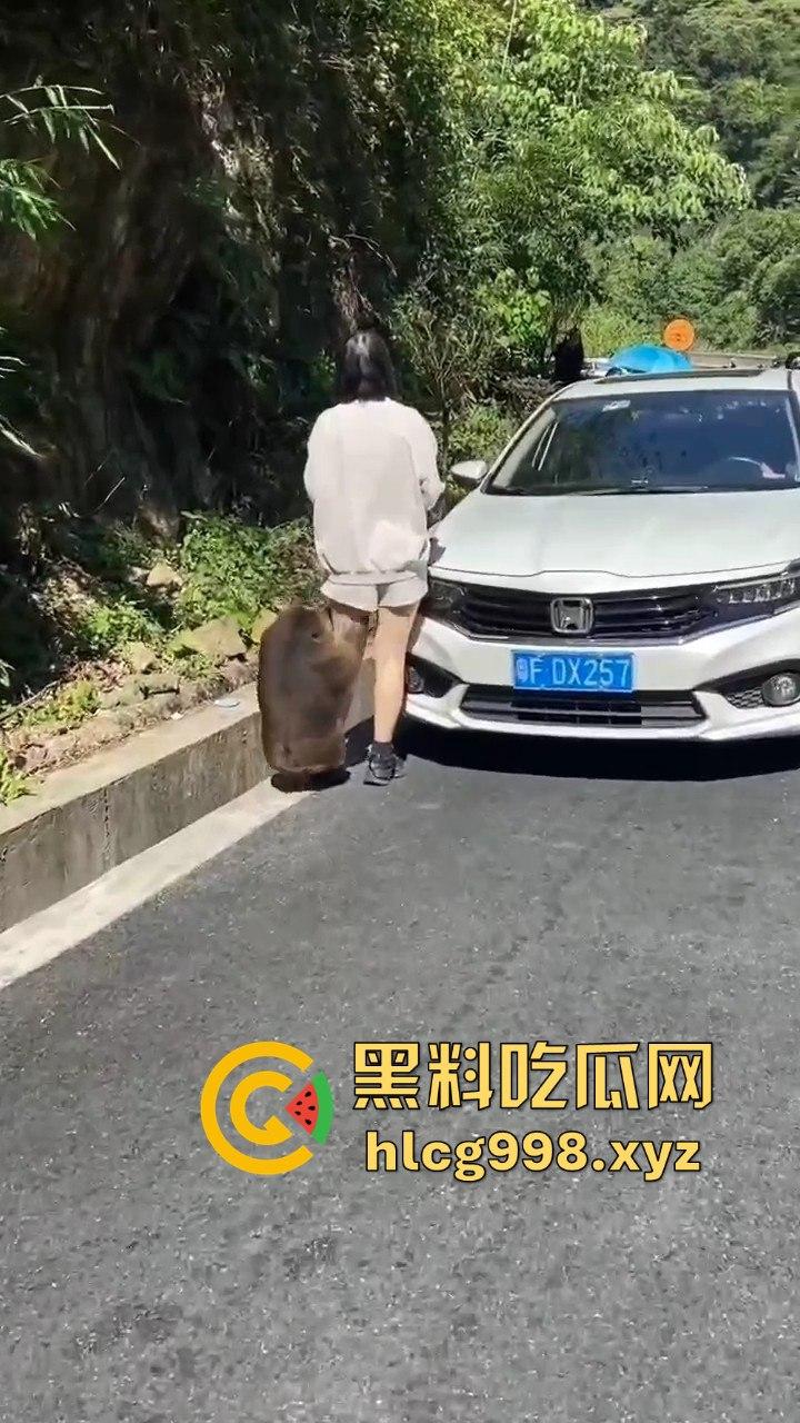 奇葩猴子不吃香蕉专爱美女！见到女的就疯狂抱大腿、抓胸、扯头发！-8