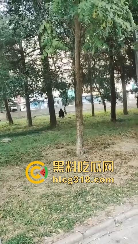 高颜值情侣公园草地野战!女上男下疯狂骑乘,精虫上脑了直接无视众人就是干呗!-3