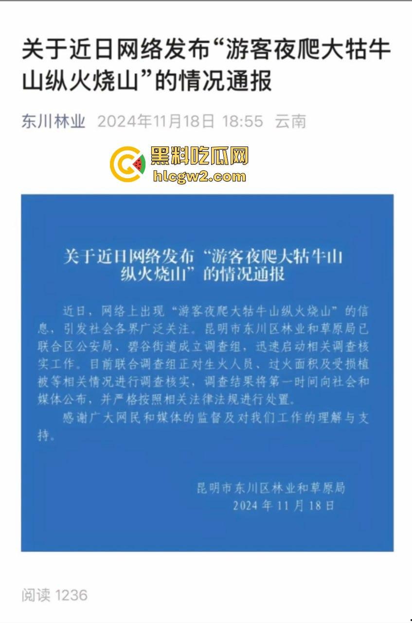 青春无售价却纵火韶山！无知大学生云南东川大牯牛山放火毁二级保护植物 杜鹃花全军覆没！-1