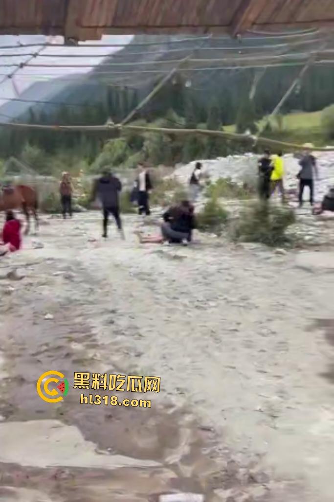 新疆伊犁昭苏县夏塔景区吊桥断裂29人滑落5死22伤,桥虽不高但下面就是激流的河水,直接能摔死!-1
