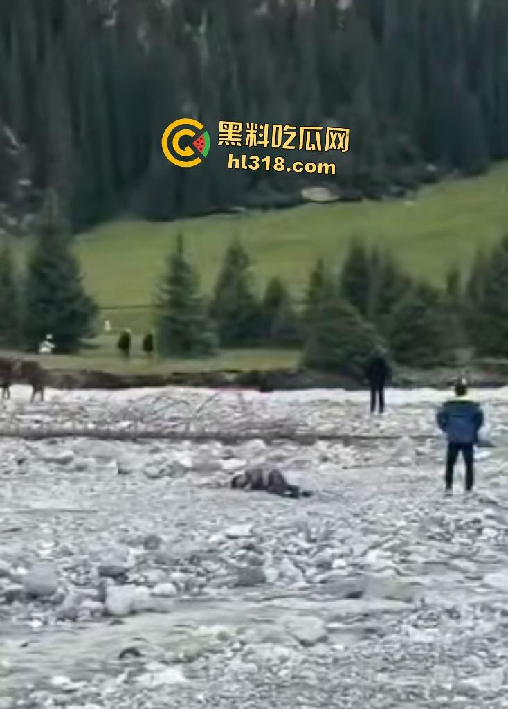 新疆伊犁昭苏县夏塔景区吊桥断裂29人滑落5死22伤,桥虽不高但下面就是激流的河水,直接能摔死!-6