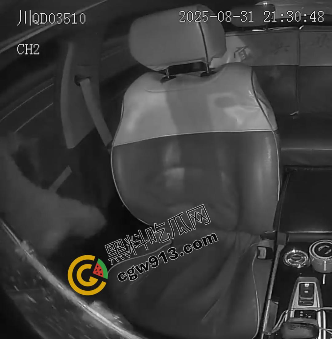 四川男子疯狂跳车险酿惨剧！网约车司机害怕惹祸赶紧录视频自保，惨烈撞脸引发全网热议-7