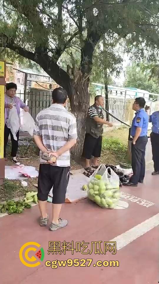 黑龙江城管不讲道理执法,跟买菜小摊贩说两句就上头,牛逼到不行,给个书记他做那不得起飞了!-1