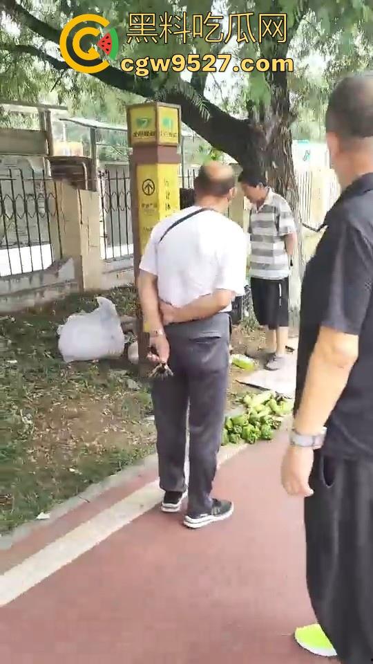 黑龙江城管不讲道理执法,跟买菜小摊贩说两句就上头,牛逼到不行,给个书记他做那不得起飞了!-2