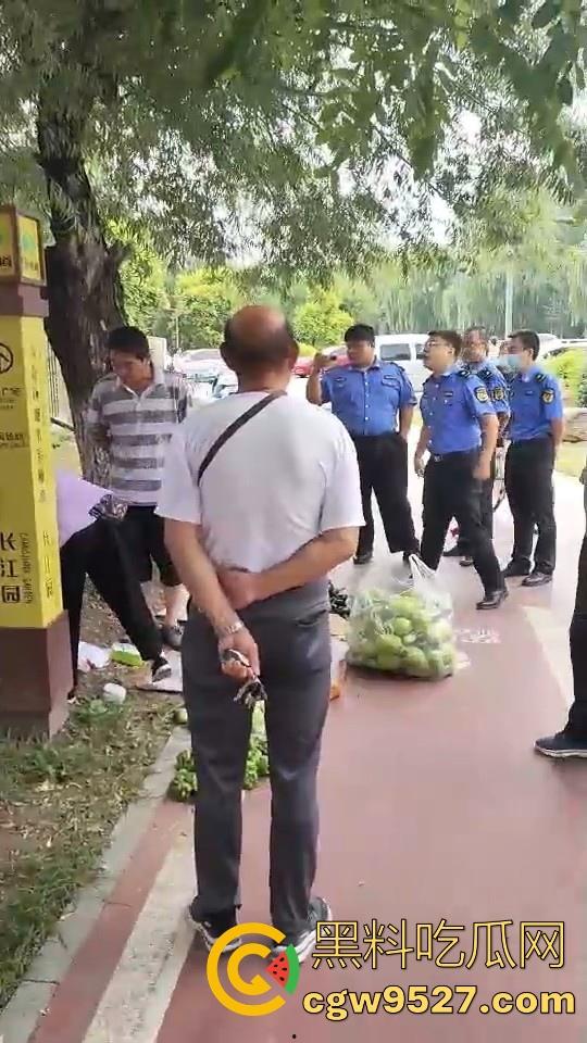 黑龙江城管不讲道理执法,跟买菜小摊贩说两句就上头,牛逼到不行,给个书记他做那不得起飞了!-7