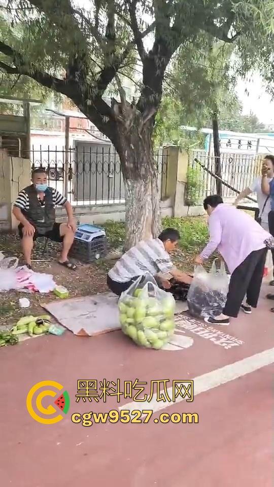 黑龙江城管不讲道理执法,跟买菜小摊贩说两句就上头,牛逼到不行,给个书记他做那不得起飞了!-8