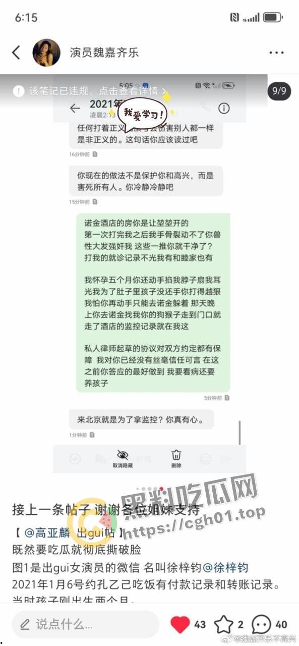 家有儿女【夏东海】出轨！扮演者【高亚麟】被妻子实锤出轨家暴  未删减实锤证据流出-8