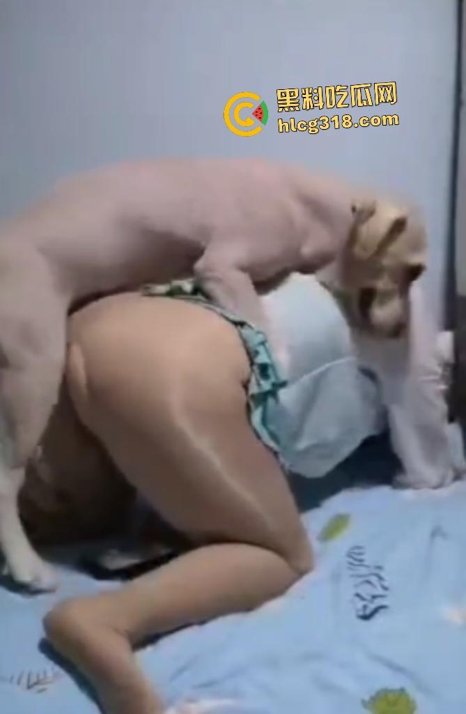 性爱伟大主题人与兽！灰丝肥臀熟女被拉布拉多猛操，不仅吃得多射的也多，射完后还清理残留精液！-3