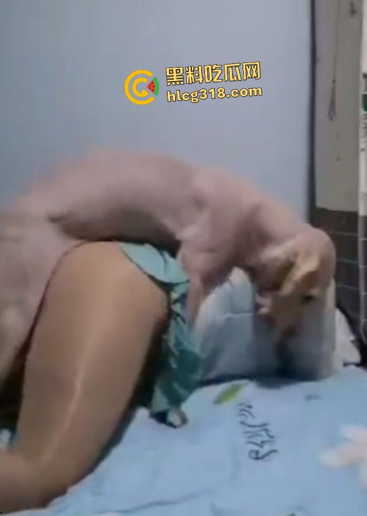 性爱伟大主题人与兽！灰丝肥臀熟女被拉布拉多猛操，不仅吃得多射的也多，射完后还清理残留精液！-8