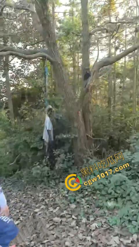 四明山中骑行,摩友巧遇恐怖干尸,惊恐报警,警调挖机移尸,骇人现场,让人看的心跳加速!-4