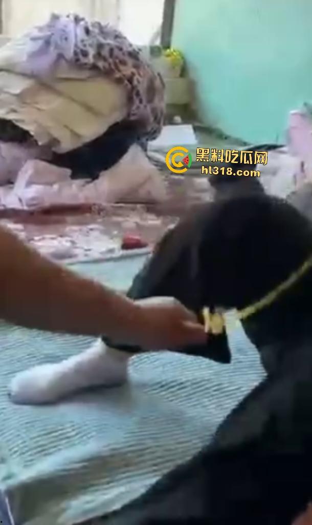 大爷大妈挑战虐逼游戏！大爷用超长皮筋狂蹦大妈骚逼，十下高潮迭起，差点就把裤子浸湿了！-6