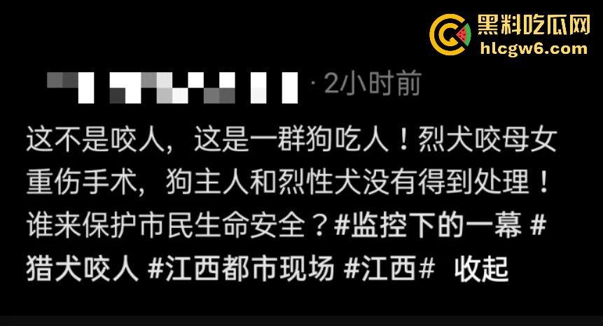 江西赣州母女在公园散步被四条野狗攻击撕咬，扯下来的肉被吃掉，暴露性伤口可以塞进一只手-1