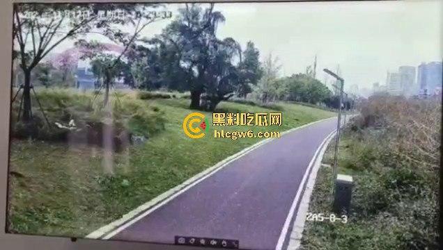 江西赣州母女在公园散步被四条野狗攻击撕咬，扯下来的肉被吃掉，暴露性伤口可以塞进一只手-8