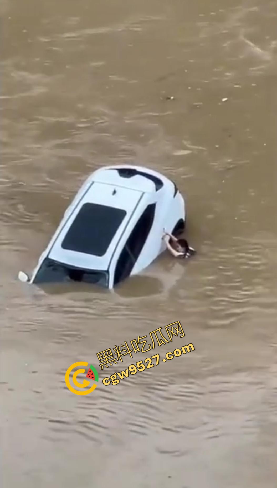 远离女司机!东莞一女司机因操作失误掉河里死亡,监控摄像头全程记录,这操作真牛!-7