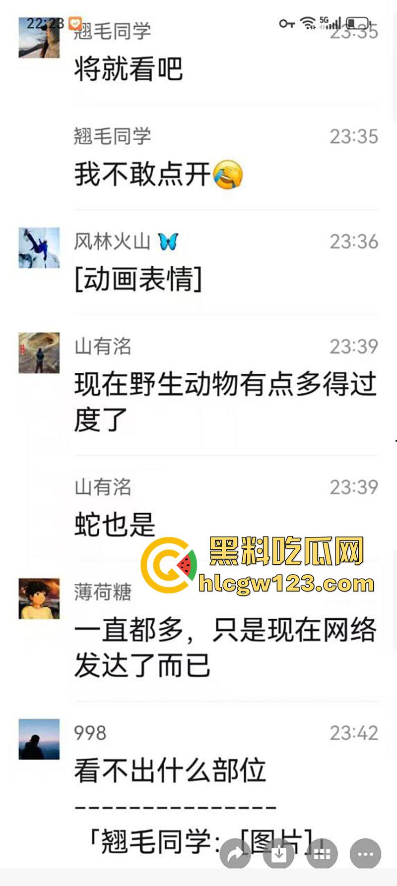 西藏贡嘎藏马熊屠杀人类，帅哥随旅行团西藏游，一行人挖虫草误入熊窝，头骨被咬碎无一生还！-4