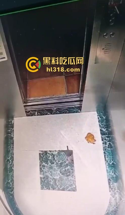 河南驻马店抖音网名【瑶.】妙龄女子当众在电梯拉屎，女子在无视监控，拉完随后淡定离开！-7