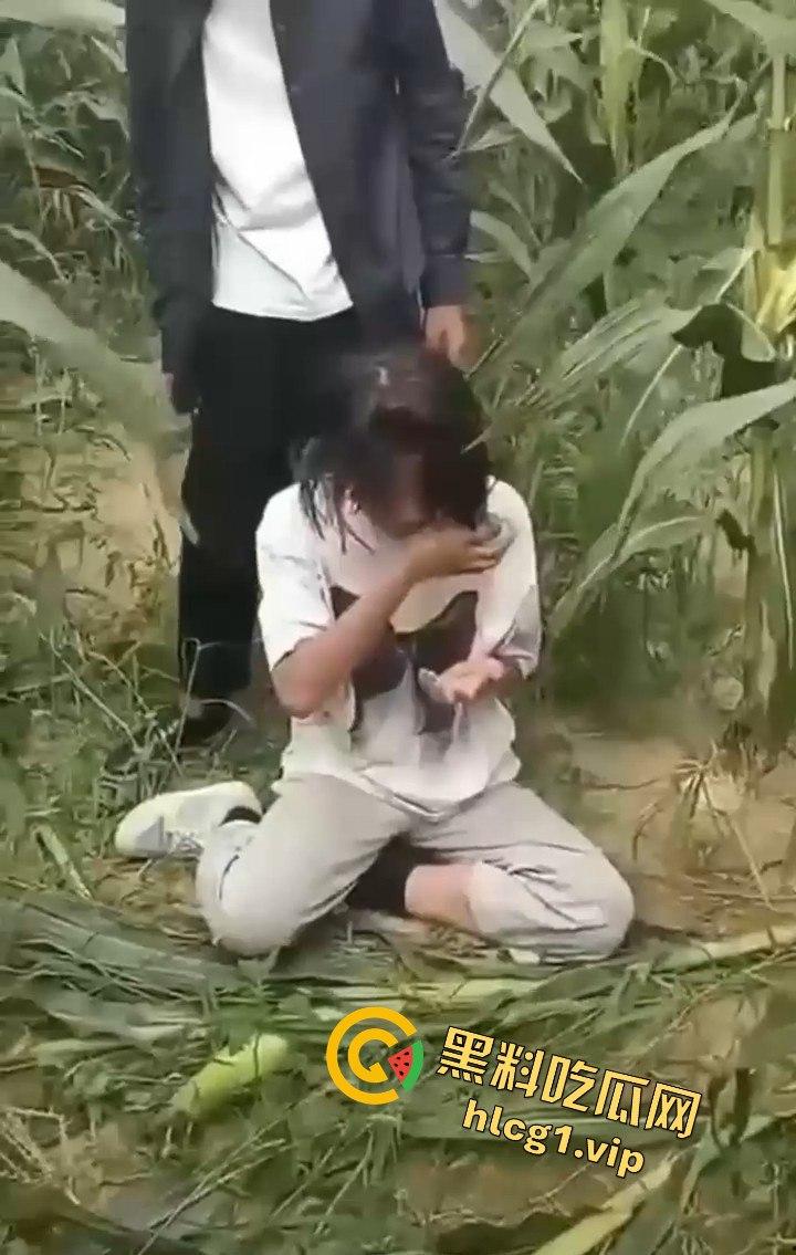 河南商丘高中女生被两名男同学殴打！玉米地中耳光、拳脚相加！-7