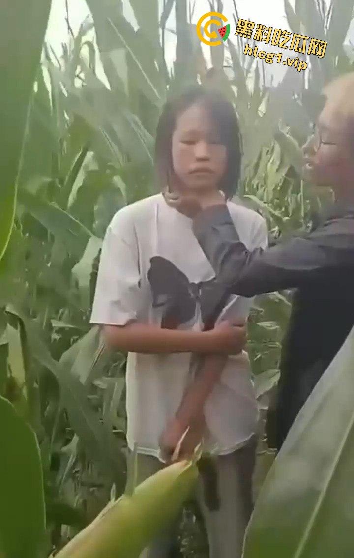 河南商丘高中女生被两名男同学殴打！玉米地中耳光、拳脚相加！-10