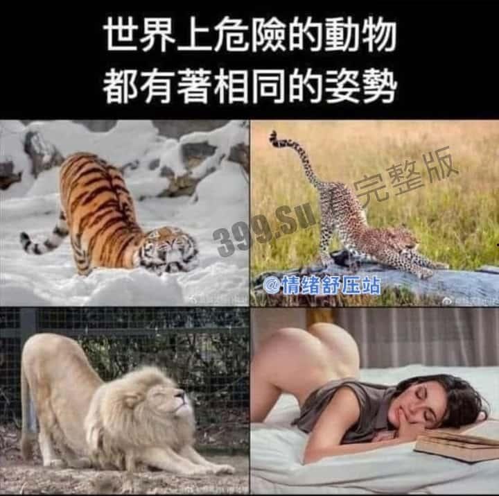 轻松一刻 搞笑集锦  原来陈泽在这里直播！-7