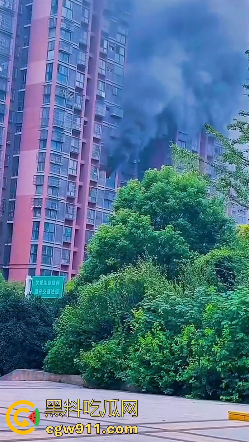 男人崩溃带走全家，合肥滨湖顺园北区发生火灾，据说是男人心态崩溃，给老婆和孩子下安眠药后点了房子！-2