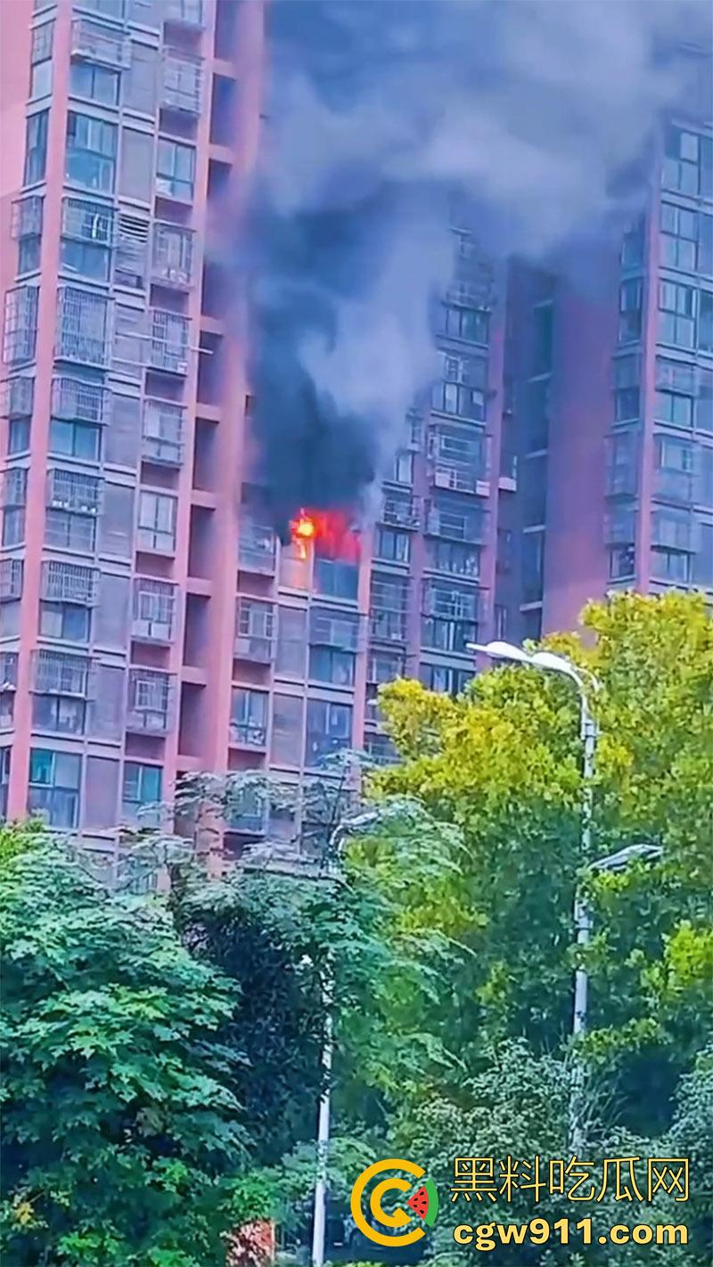 男人崩溃带走全家，合肥滨湖顺园北区发生火灾，据说是男人心态崩溃，给老婆和孩子下安眠药后点了房子！-7