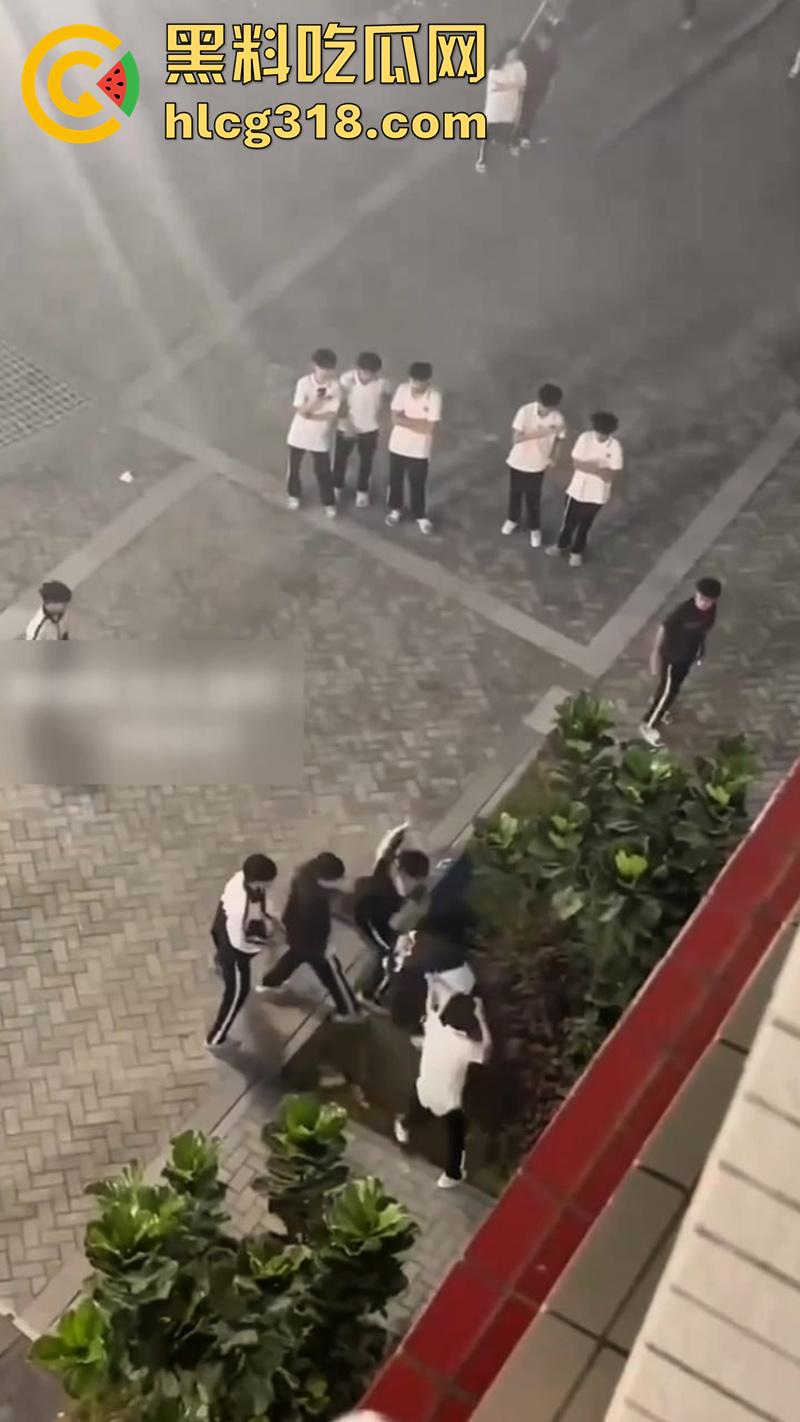 我拿你当兄弟你竟然操我妈?高中生把同学母亲给操怀孕了,儿子知道后直接在学校打起来了!-5