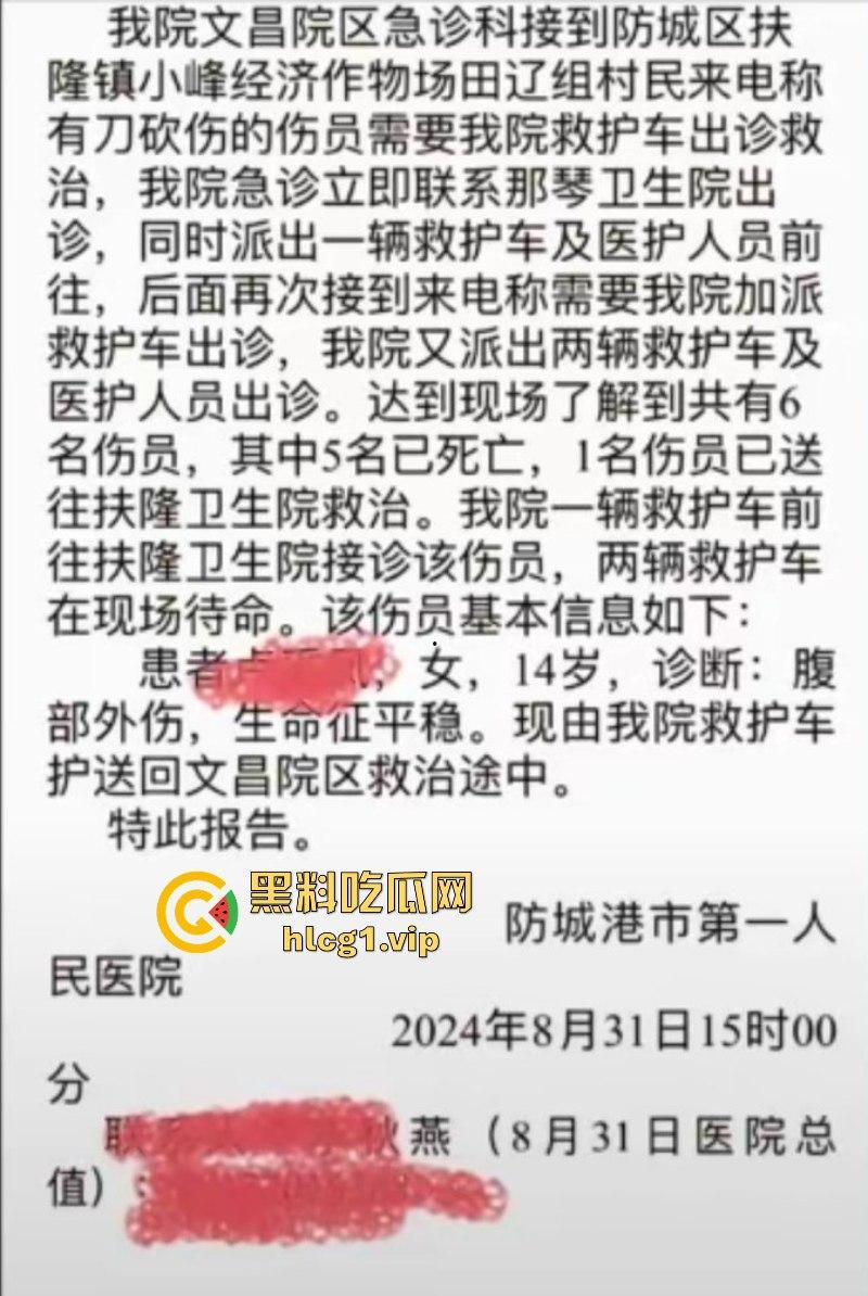 天神下凡一锤6!广西男砍杀邻居致5死1伤 死者含3个孩子-3