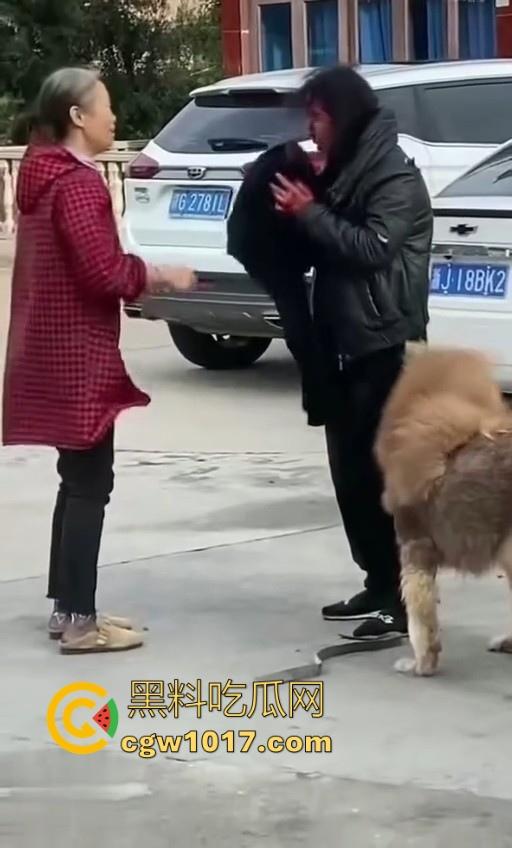 七年老狗反咬主人，不是虐待就突然发疯，满脸都是血，大型狗真恐怖，随后安排处死，这时候爱狗人士怎么不说话了！-3