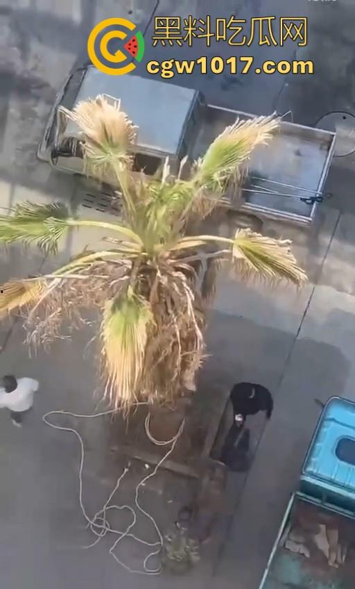 七年老狗反咬主人，不是虐待就突然发疯，满脸都是血，大型狗真恐怖，随后安排处死，这时候爱狗人士怎么不说话了！-8