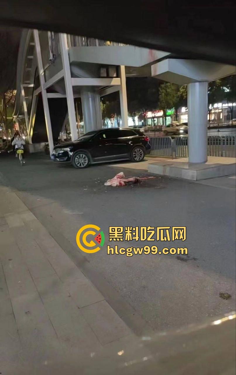 武汉花园道ICC天桥惊现断头惨案，跳楼不成被栏杆拦腰斩断，血浆横飞，画面惨烈重口慎入！-10