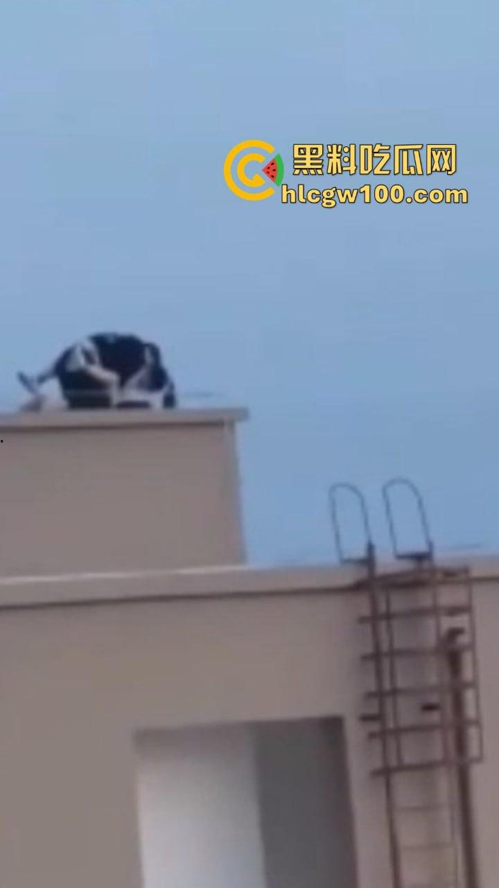 天台高能现场曝光，楼梯间顶上日逼看风景，高处做爱骚浪翻天，这种玩法不是一般人敢尝试的，真实艺高人胆大！-1